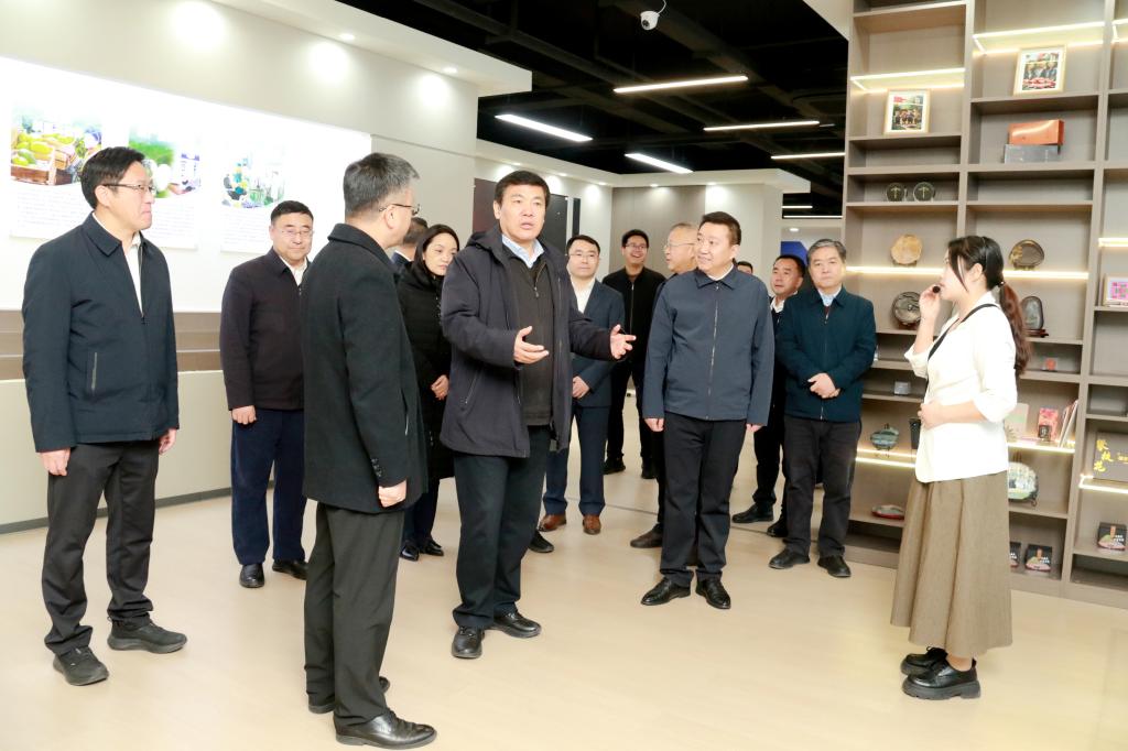 调研指导共同富裕发展研究院工作