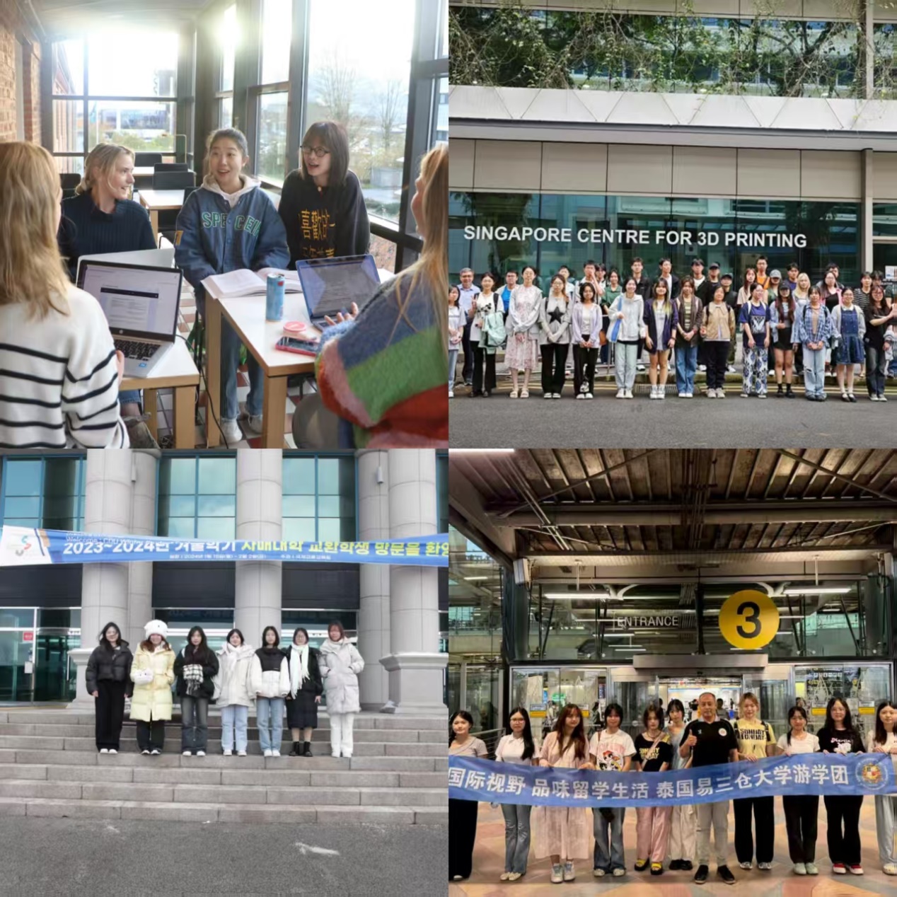 图2 学生赴瑞典、新加坡、韩国、泰国参加交换学习、专业实践、游学等活动